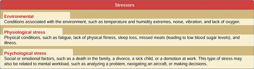 System stressors. Environmental, physiological, and psychological stress are factors that affect decision-making skills. These stressors have a profound impact especially during periods of high workload