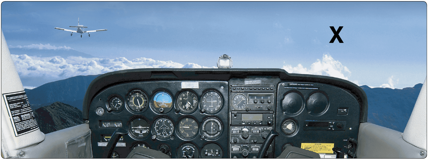 The eye’s blind spot Vision in Flight