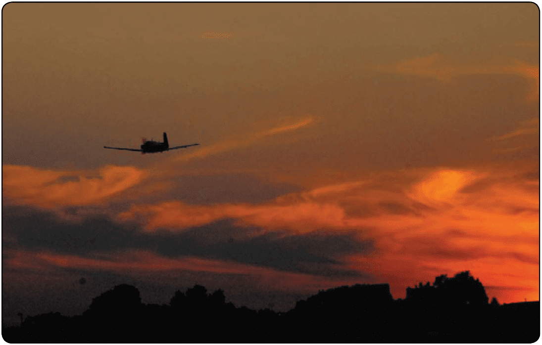 Night vision Vision in Flight