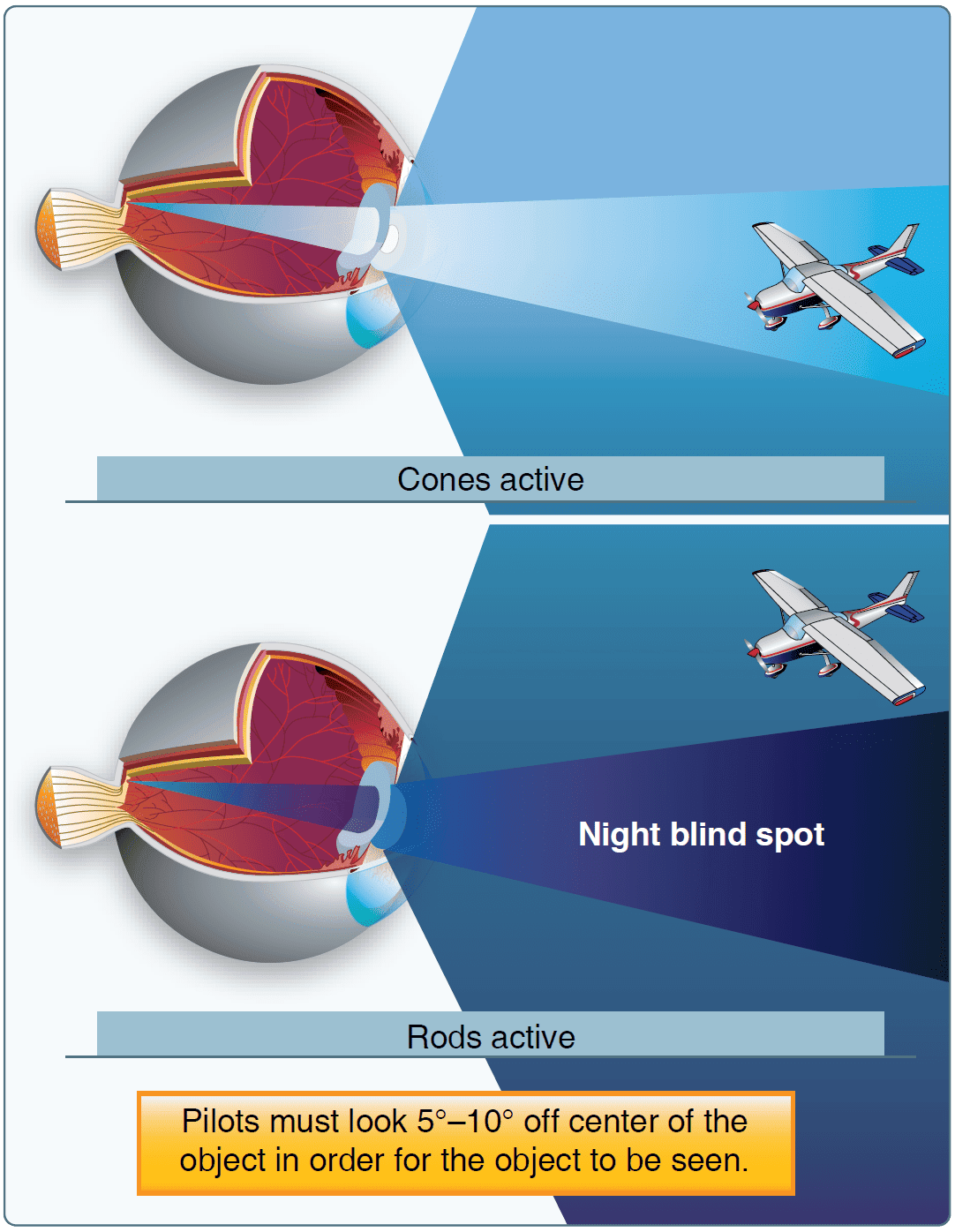 Night blind spot Vision in Flight