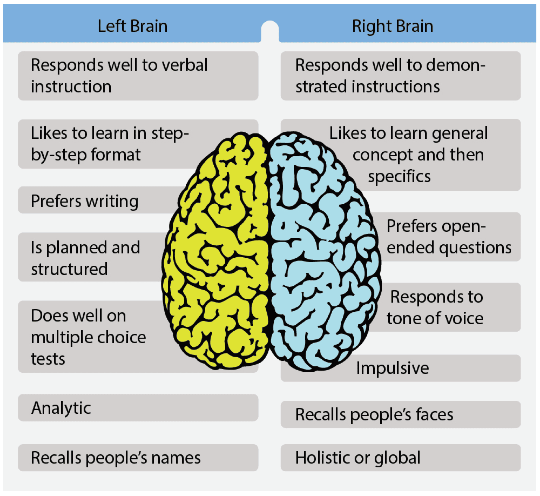 The importance of recognizing a dominant brain hemisphere gives the instructor a guide for ways to teach and reinforce learning Learning Styles, aviation instructor