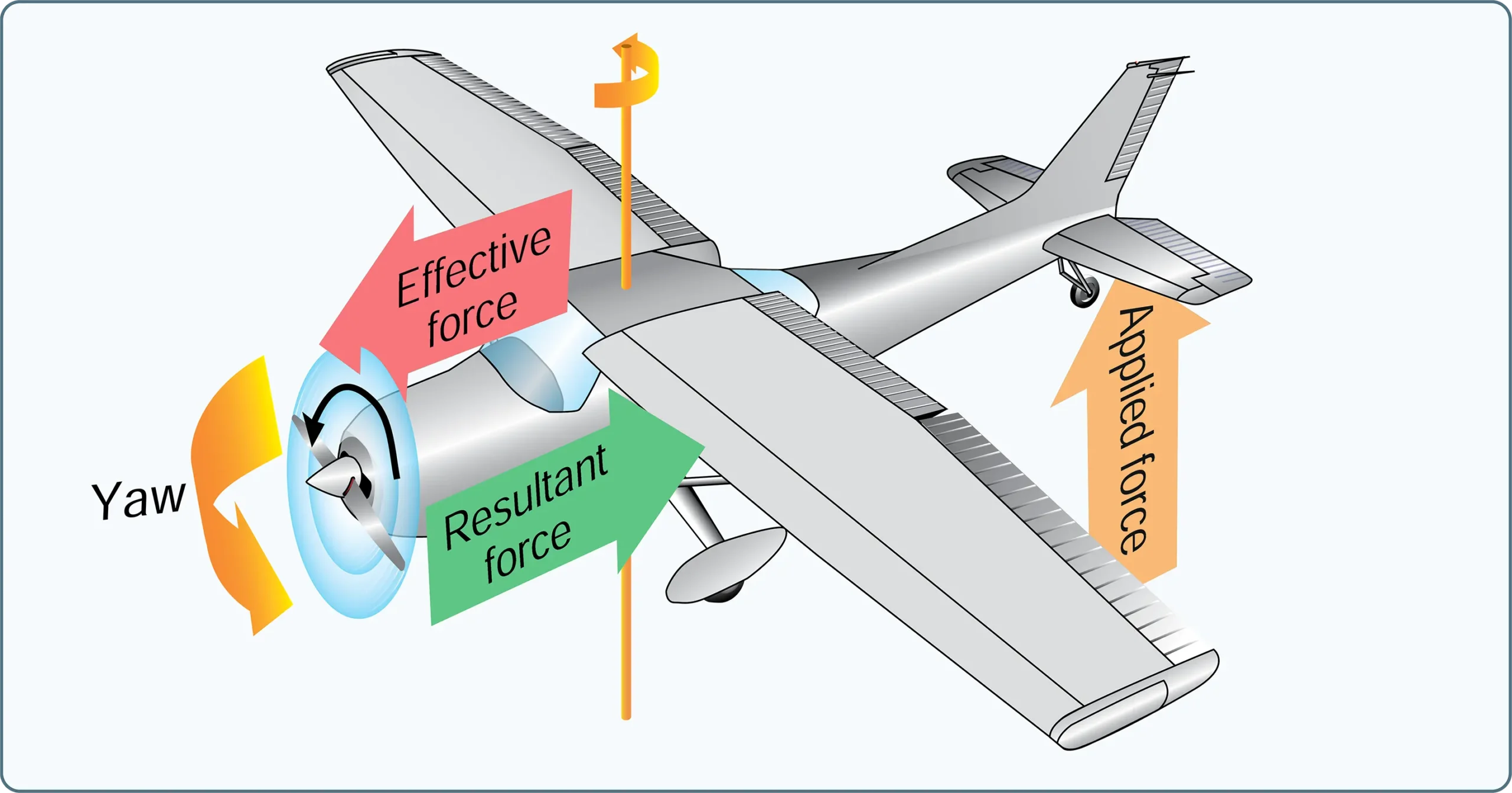 Raising tail produces gyroscopic precession